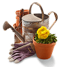 تنسق الحدائق والزراعة image