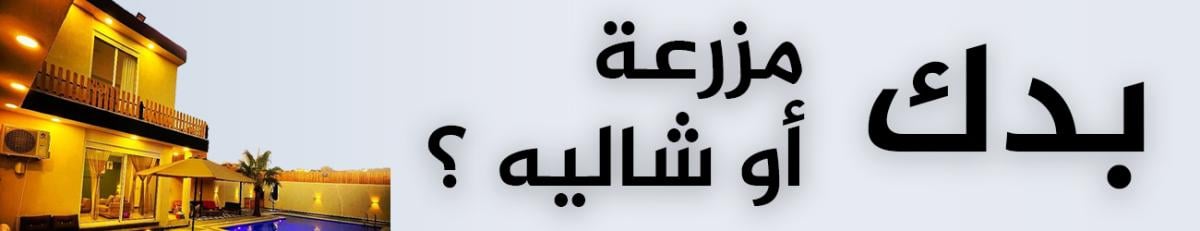 Banner 4