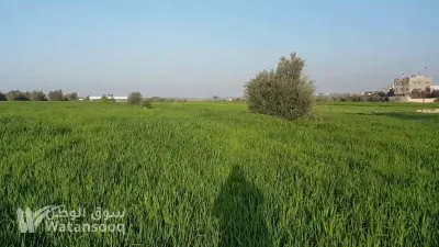 ارض للبيع ايدون عوسية الغريبة