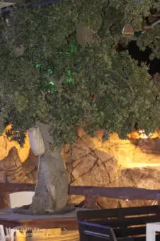 شاليه رمسيس أطلاله بانورامية على قمم غابات البلوط