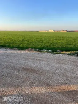 ارض للبيع كرم زيتون
