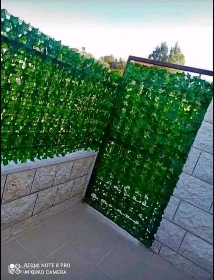 رول ورق شجر اخضر  كثيف متر3