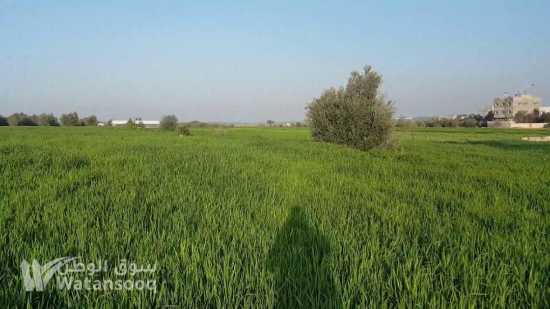 ارض للبيع حواره حوض عوض سعر كامل 100 الف