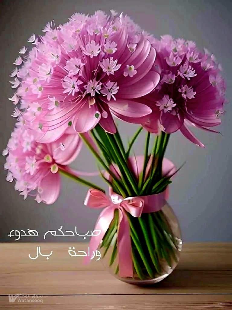 مطلوب شقة فارغة للايجار الشهري لعائلة ، من المالك مباشرة ،العقد سنوي .